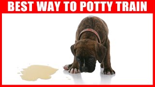 How to Potty Train your Dog Easily