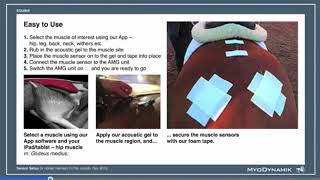 CURO Diagnostics - VIDEO 2 Sensor Setup