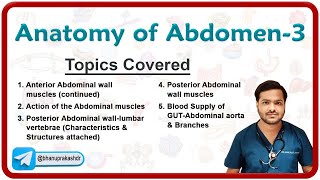 🕵️‍♂️ Anatomy Of Abdomen (Part - 3) : Anterior and Posterior abdominal wall, Abdominal aorta 🌟💡