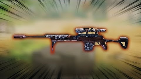 DL Q33 The Best Sniper