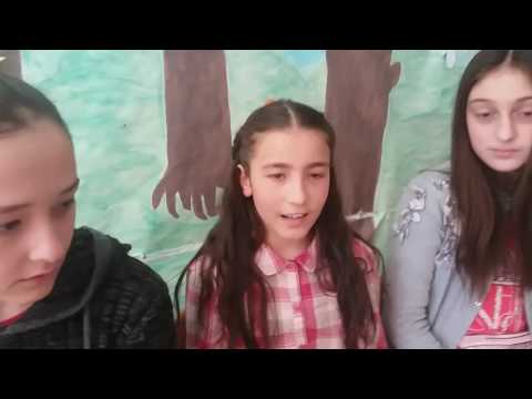 ქსელური პროექტი   skype შეხვედრა  მასწავლებელი: ი.ღანიაშვილი