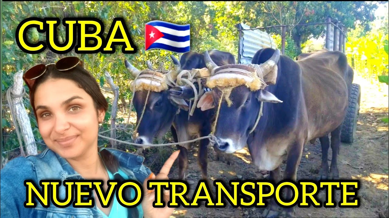 ‼ Situación EXTREMA 😱‼ ASÍ está CUBA hoy 😥