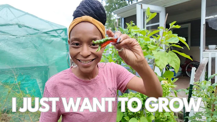 Small Urban Garden Harvest | The Many Options I Use to Grow thumbnail