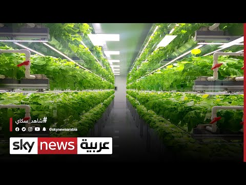 المدير التنفيذي لشركة   ديفيد روزنبرغ الزراعة العمودية تسهم في تحقيق الأمن الغذائي
