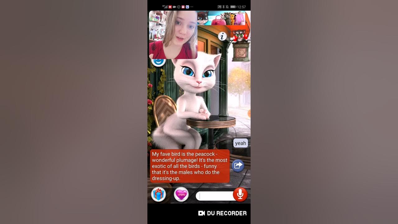 Есть ли маньяк в игре. Джинджер игра глаза. Talking angela маньяк. Джинджер кот маньяк. Карты мафия маньяк.