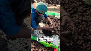 #earthworm #shorts #shortsfeed #shortsbeta #shortvideo #kenchua #business #training #vermicompost