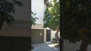 Actor Brad Pitt The Killers guitarist Dave Keuning Former Home House Hollywood Hills LA 3-18-2026