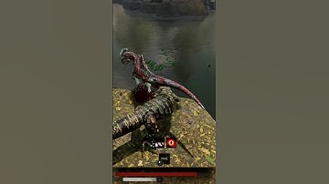 Lizard Food | Path of Titans #megalania #pathoftitansgameplay #clips