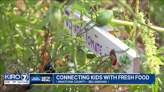 Western Washington Gets Real Connecting kids with fresh food in Whatcom County