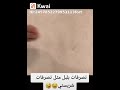 تصرفات بلبل مثلتصرفات شريستي