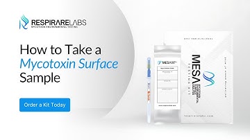 Mycotoxin Home Testing: Step-by-Step Surface Test Kit Instructions