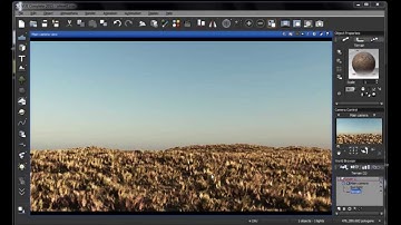 Creating A New Grass Species, A Vue Tutorial