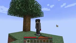 skyblock test (10 years of playing minecraft)