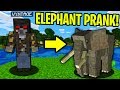 PRANKING AS AN ELEPHANT IN MINECRAFT! - Minecraft Trolling Video