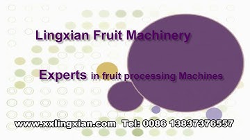 Grape Destemmer/ Grape stemming Machine, grape wine processing equipment