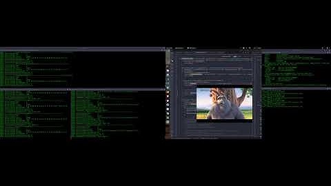 r3 Reflector + UDP Video Streaming