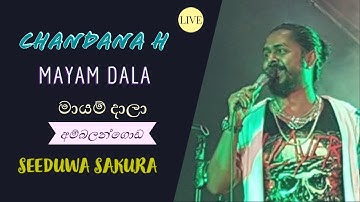 MAYAMA DALA | මායම දාලා | CHANDANA H | SEEDUWA SAKURA I  AMBALANGODA | LIVE  | 2014