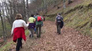 De ruta con NansaNatural por El Valle de Polaciones (Cantabria)