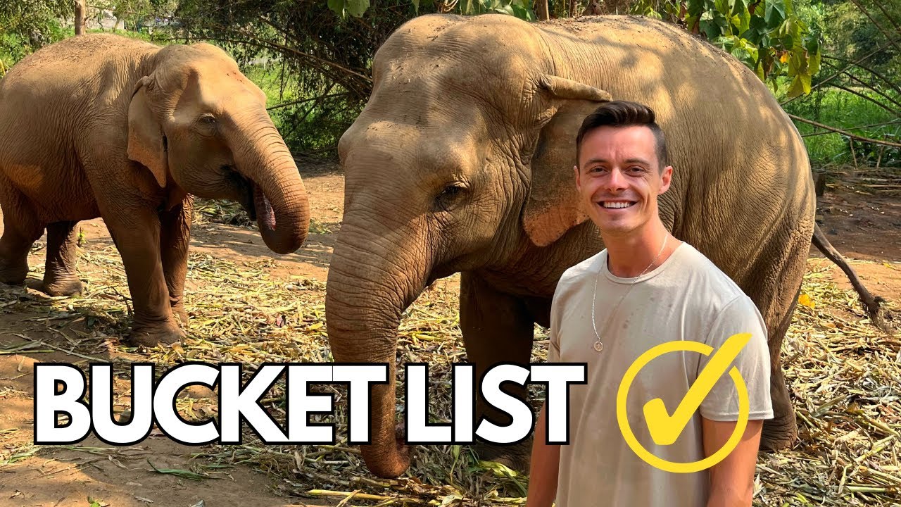 Elephant nature park - THAILANDE 🐘