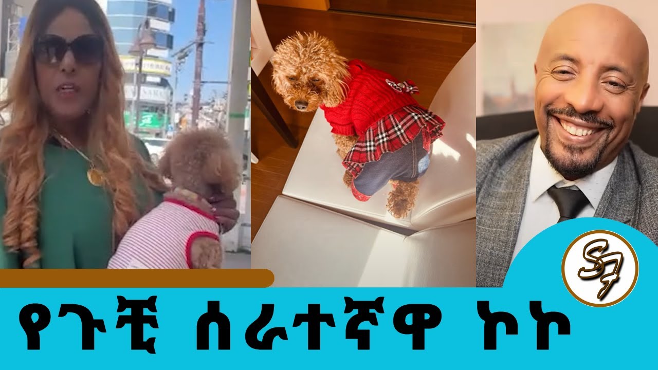 ውሻዋ ቡቺ ለጉቺ!!! አማርኛ የምትሰማዋ ሞዴሏ ውሻ  ሁለት መቶ ሺህ ብር ረዳች..... ቅንጡዋ ውሻ ከጃፓን… | Seifu on EBS