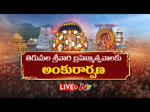 Tirumala Brahmotsavam 2025 LIVE : శ్రీవారి బ్రహ్మోత్సవాలకు అంకురార్పణ | Tirumala | NTV Telugu - NTVTELUGU