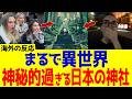【海外の反応】日本の神社は神秘的！外国人が別格すぎるその美しさに圧倒される理由