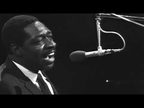 YouTubeでMuddy Waters ft. Otis Spann - Cold Cold Feeling (1968)を視聴 YouTubeでMuddy Waters ft. Otis Spann - Cold Cold Feeling (1968)を視聴