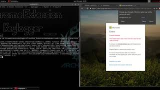 Chrome Extension [Keylogger]