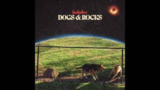 Video thumbnail of "Birdtalker -  Dogs & Rocks [Official Audio]"