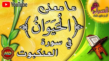 أغلبنا قد لا يعلم معنى كلمة الحيوان في سورة العنكبوت، سبحان الله