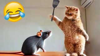 Funniest 2024😽Cats and 🥒 Cucumbers - Awesome Funny Pet Videos 😸🐶Part 13