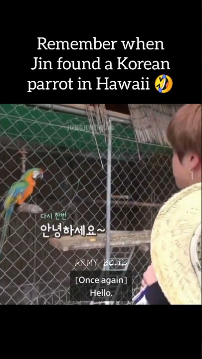 Remember when Jin found a Korean parrot in Hawaii!! 🤣🤣 #shorts #bts #army #btsedits #jin #ytshorts