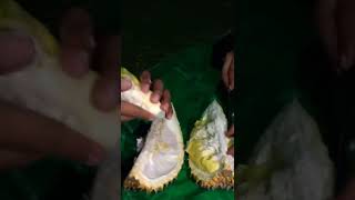 I Love Durian, And You? #shorts
