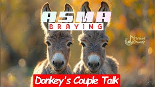 Donkey Couple Talk | DONKEY BRAYING | Donkey Sound | ASMR