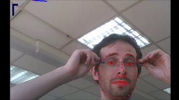 Driver Cognitive Behavior Tracking