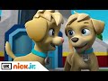 PAW Patrol | Pups and the Mighty Twins | Nick Jr. UK