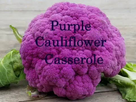 Purple Cauliflower Casserole - YouTube