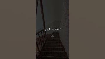 سوره الضحى 💜#قران #ماهرالمعيقلي #quran #alaa_mustafa_1