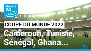 Coupe du monde de football 2022 : Tunisie, Maroc, Cameroun, Ghana et Sénégal qualifiés