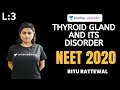 L3: Thyroid Gland and its Disorders | Endocrine System | Pre-medical - NEET/AIIMS | NEET 2020