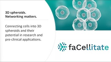 3D spheroids. Networking matters