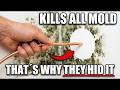 How One Copper Wire Stops Bathroom Mold — Ionization Science Explained