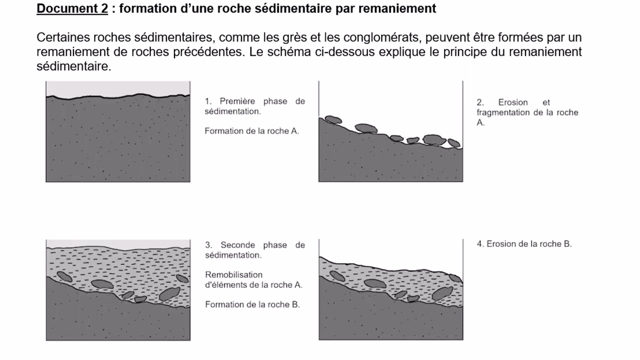Correction sujets SVT 2024 Centres étrangers