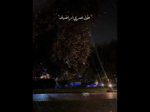  تسمحلي اهاديك بعنيا وعمري مع أنه شويه عليك  تصميم فيديوهات ترند 