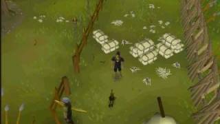 Runescape- Best Glitch Ever!