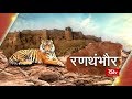 Ground Report - Ranthambhore | रणथंभौर