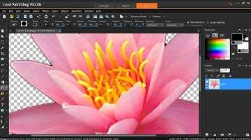 Create Your Own Picture Tubes in PaintShop Pro X6