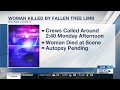 Woman killed after being struck by falling tree limb in Brown County