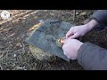 Beginning of video