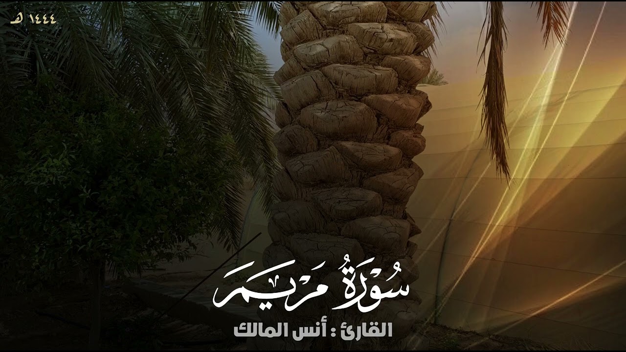 تلاوة سورة مريم للقارئ أنس المالك من ليالي رمضان لعام ١٤٤٤
